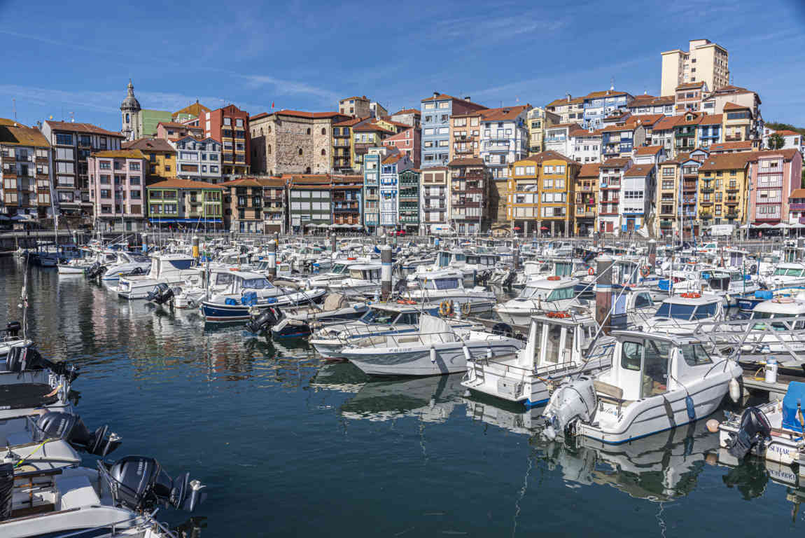 Vizcaya - Bermeo 01 - puerto.jpg
